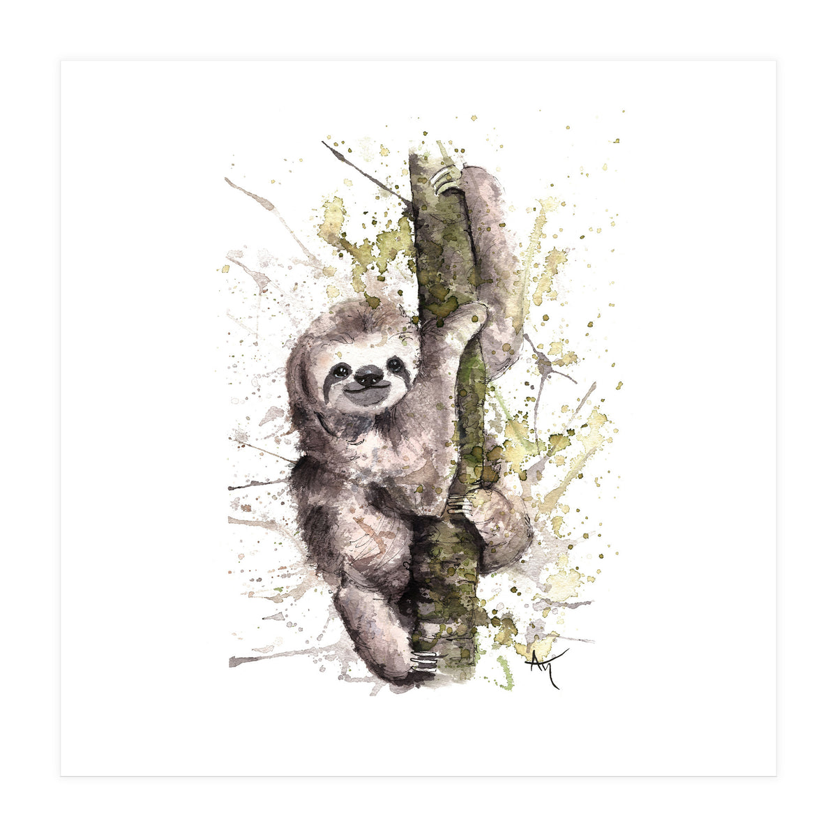 Sloth - Wildlife Collection (Print Only)