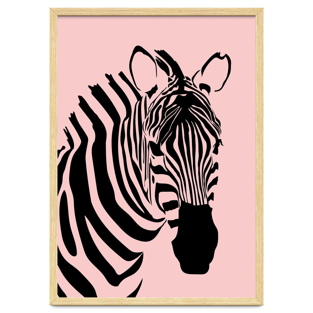 Zebra Stripes