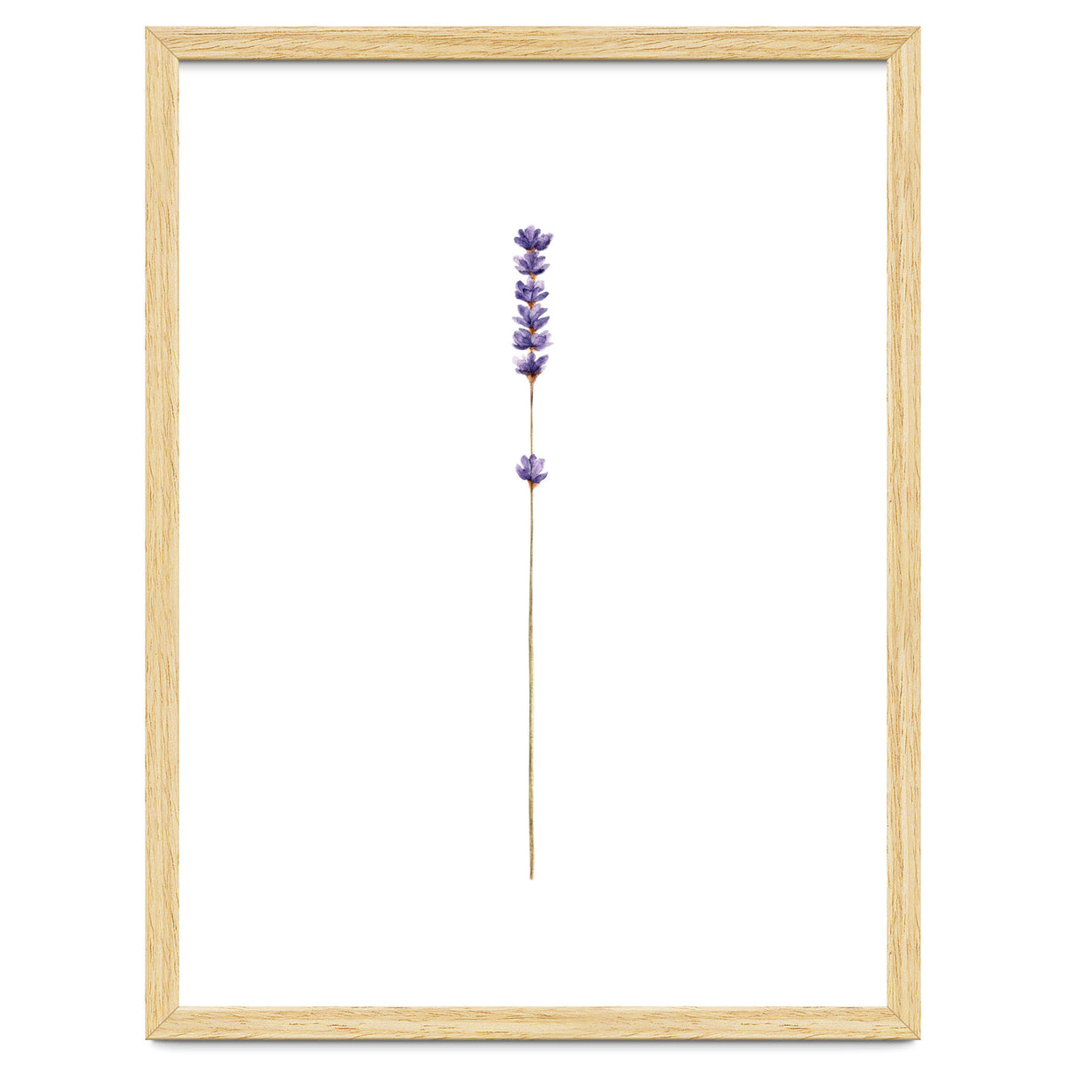 Lavender twig