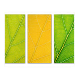 Autumn Leaves (Print Only) thumbnail