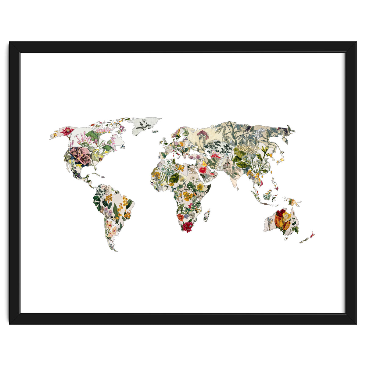 Vintage Botanical Map