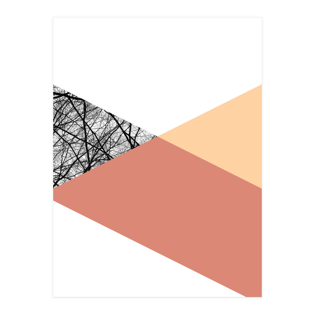 TRIWOOD II (Print Only)