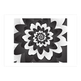Mono Chrome Flower Spiral Pattern (Print Only) thumbnail