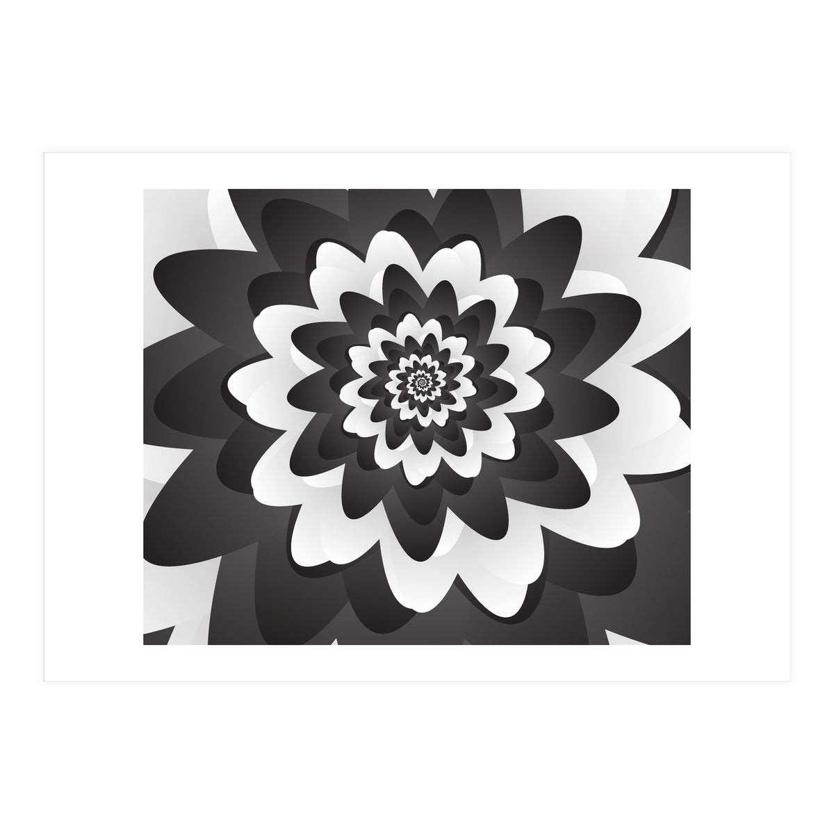 Mono Chrome Flower Spiral Pattern (Print Only)