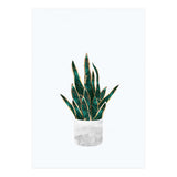 Snake Plant gold and green (Print Only) thumbnail