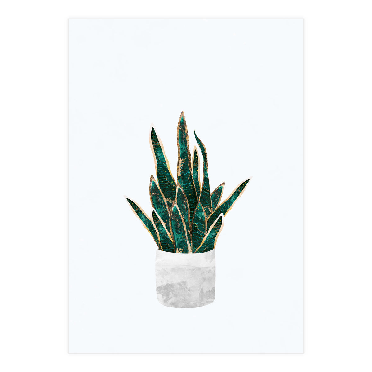 Snake Plant gold and green (Print Only)