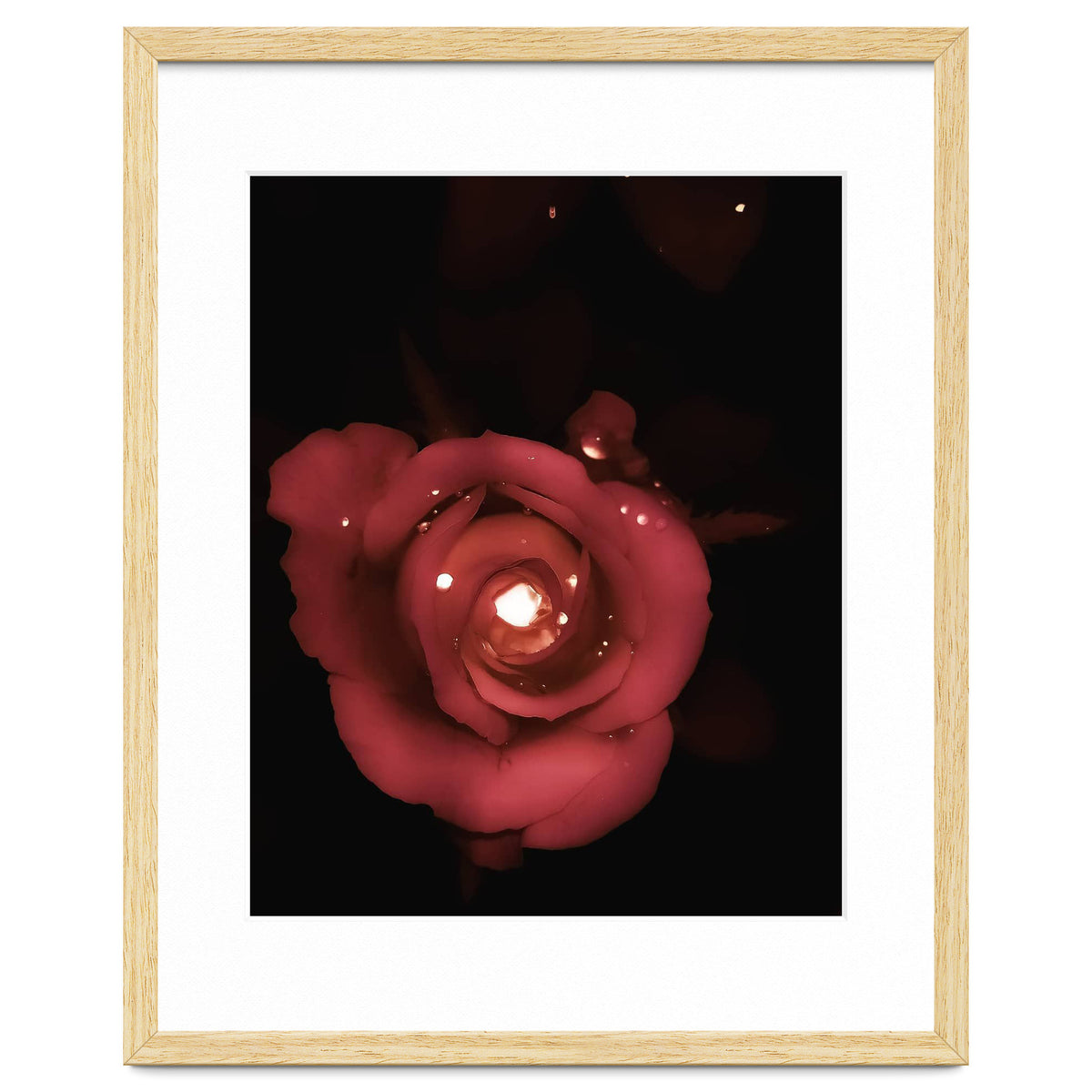 Lighting Rose