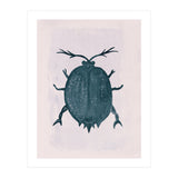 Beetle 2 (Print Only) thumbnail
