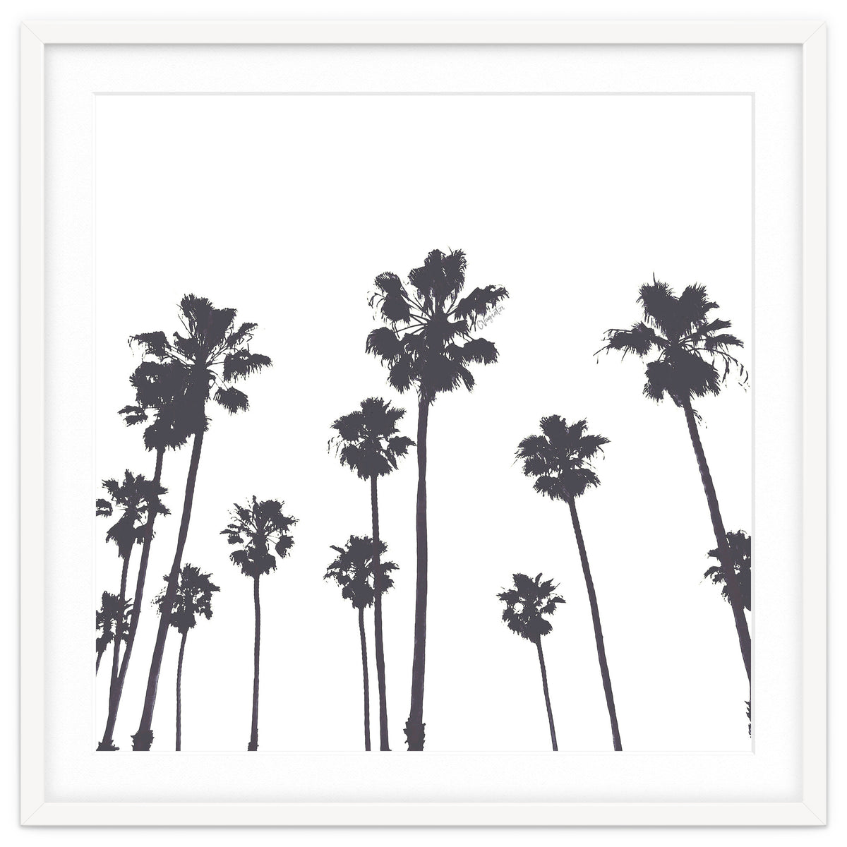 Palms & Sunset-Minimal B&W