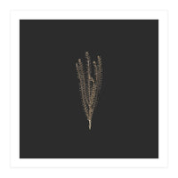 Delicate Fynbos Botanicals in Gold and Black - Square (Print Only)