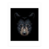Shadows grizzly (Print Only) thumbnail