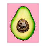 Hedgehocado (Print Only) thumbnail