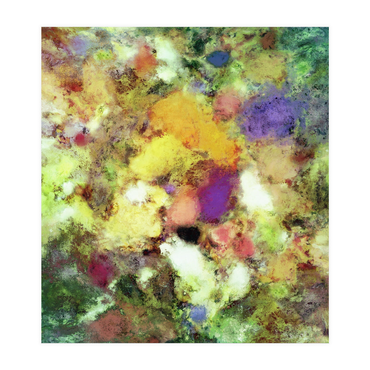 Forgotten Petals (Print Only)