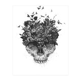 My Head Is A Jungle Bw (Print Only) thumbnail
