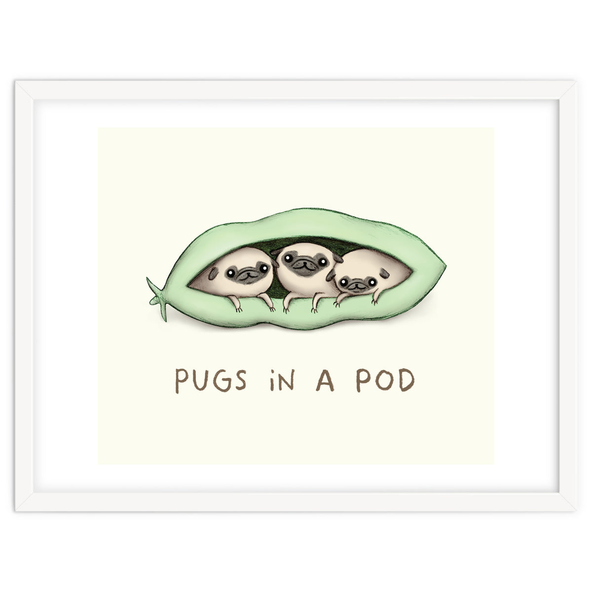 Pugs In A Pod