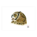 Lesser horned owl  (Print Only) thumbnail