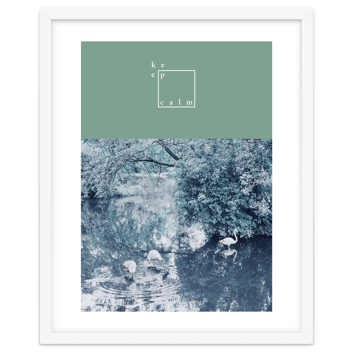 Flamingos - keep calm