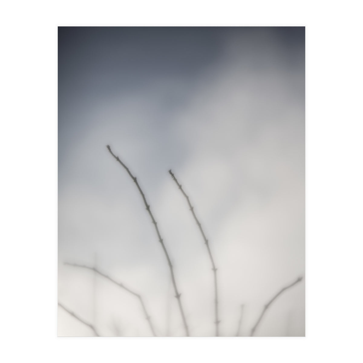 Forgotten Memories of summer #18 (Print Only)