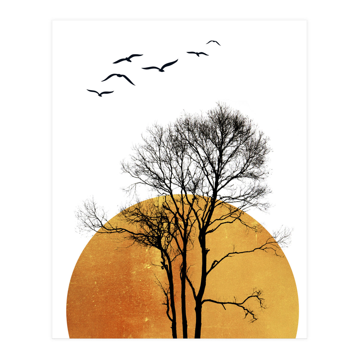 Winter Sunrise (Print Only)