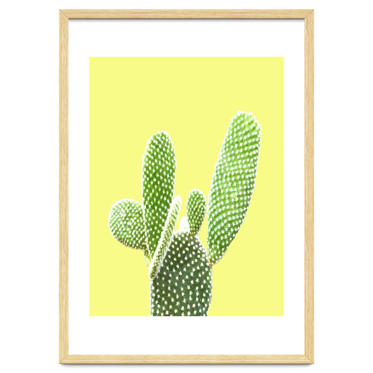 Cactus Yellow Background