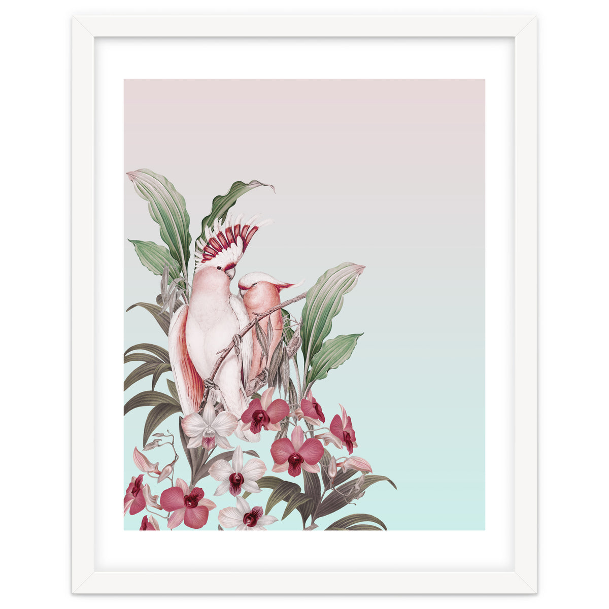 Pastel Cockatoos Paradise