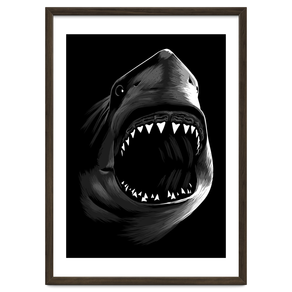 Megalodon
