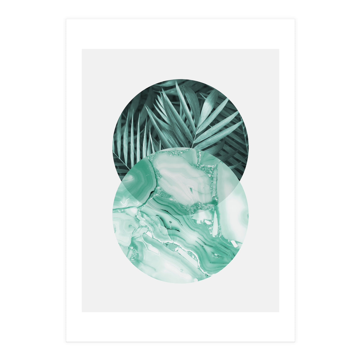 Botanical and geometric IV (Print Only)