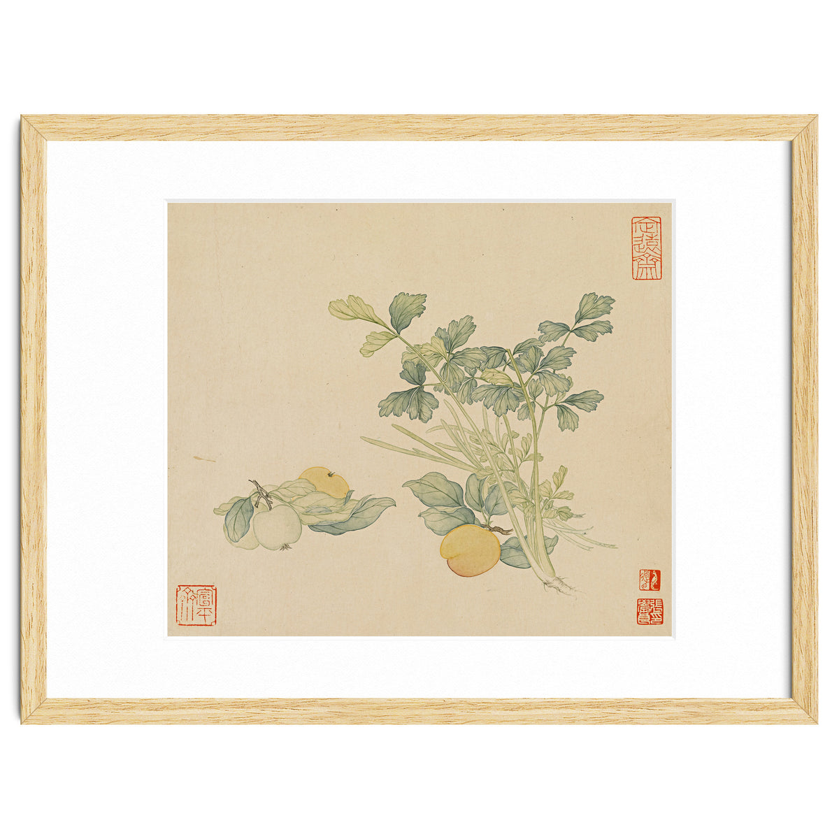 Wang Chengyu~flowers And Vegetables, Vegetables, Fruits, Plums, Apricots, Celery