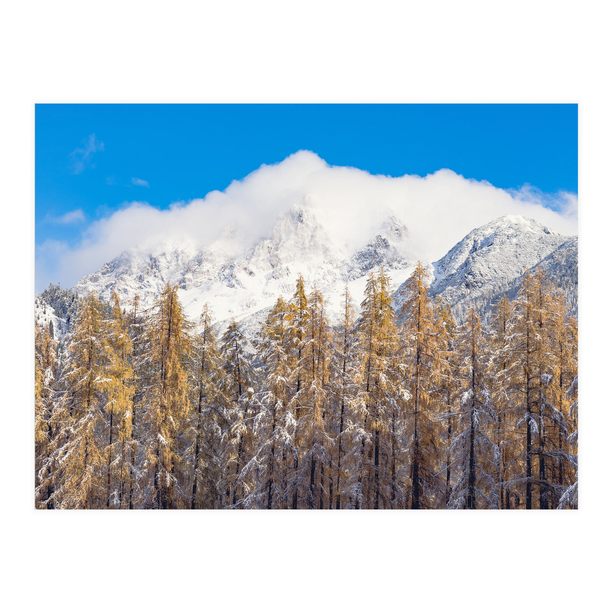 Cloudy Crown (Print Only)