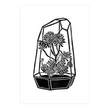 Terrarium  (Print Only) thumbnail