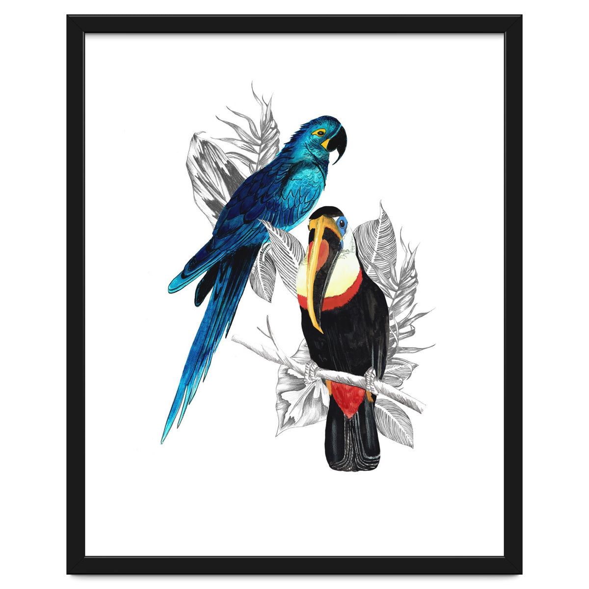 The Toucan and the Parrot