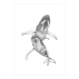 Humpacks no. 1 (Print Only) thumbnail