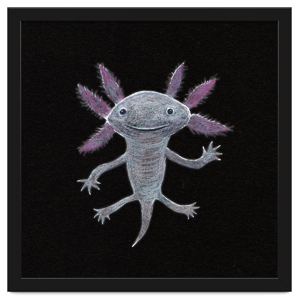 Axolotl