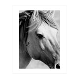 27 (Print Only) thumbnail