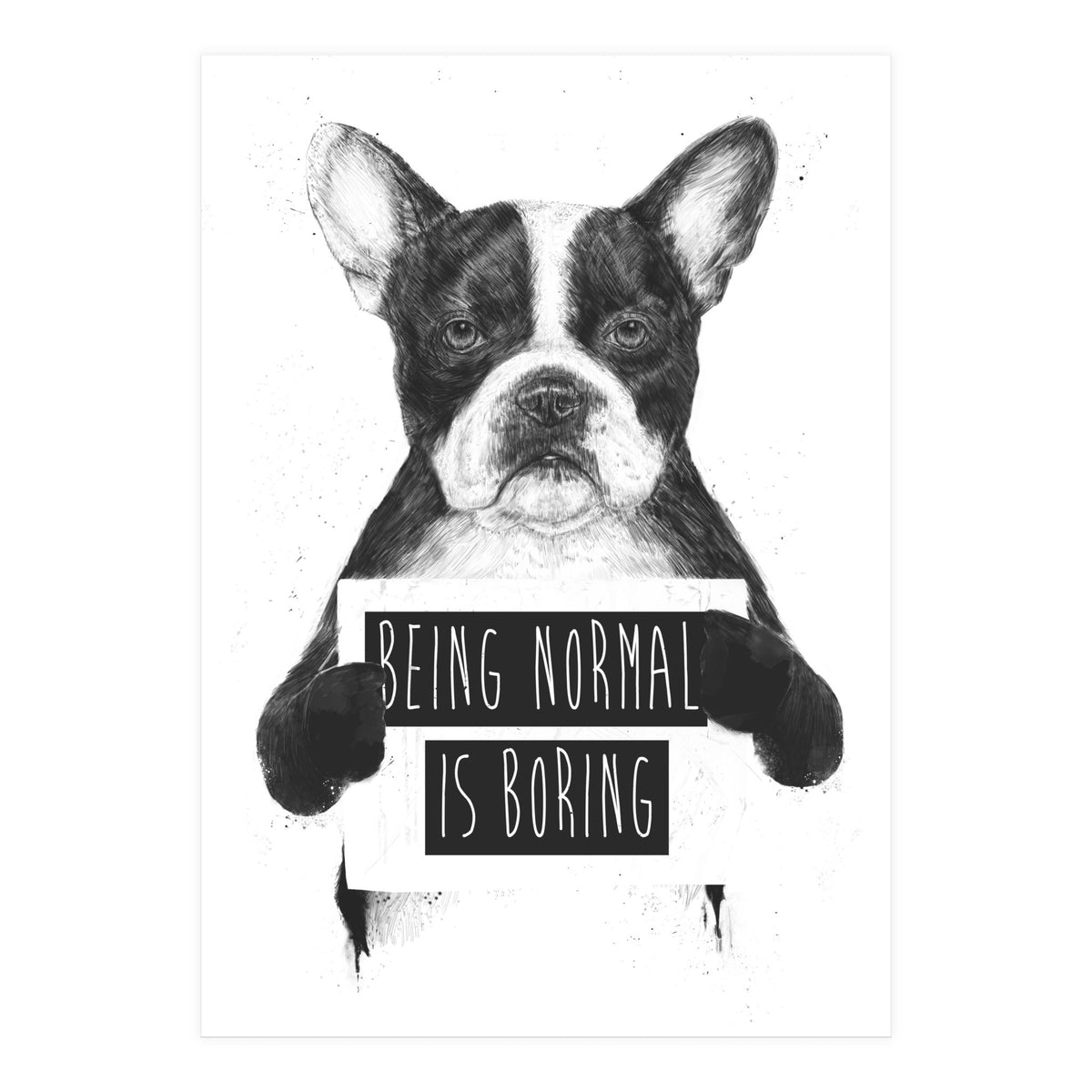 Being Normal Is Boring (Print Only)