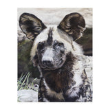 African Painted Dog II (Print Only) thumbnail