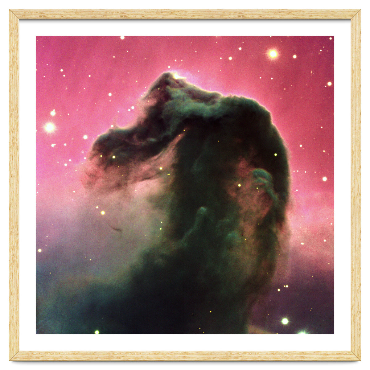 The Horsehead Nebula