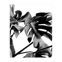 Monstera Black And White 06 (Print Only)