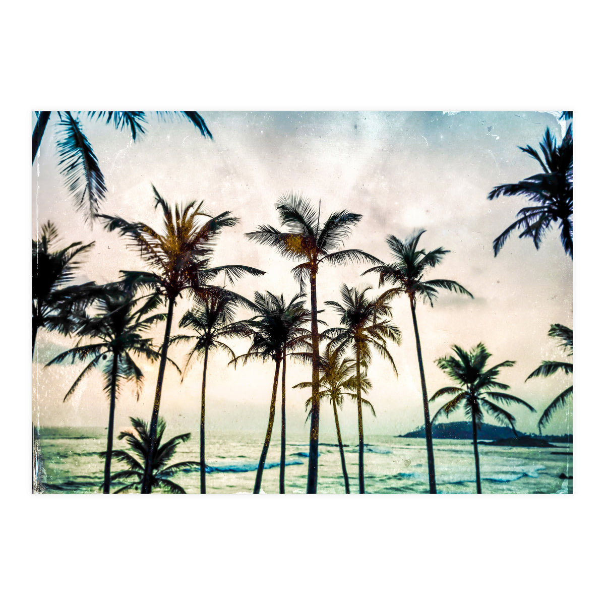 No Palm Trees (Print Only)