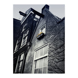 Amsterdam. House With Yellow Flowers. (Print Only) thumbnail