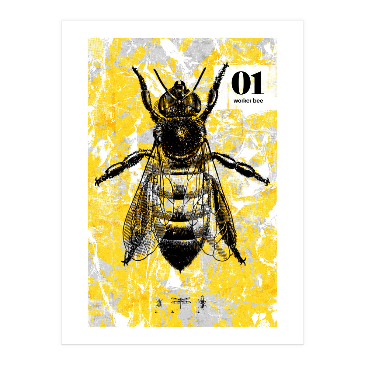 Bugs 1  (Print Only)