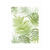 Samambaia  (Print Only) thumbnail