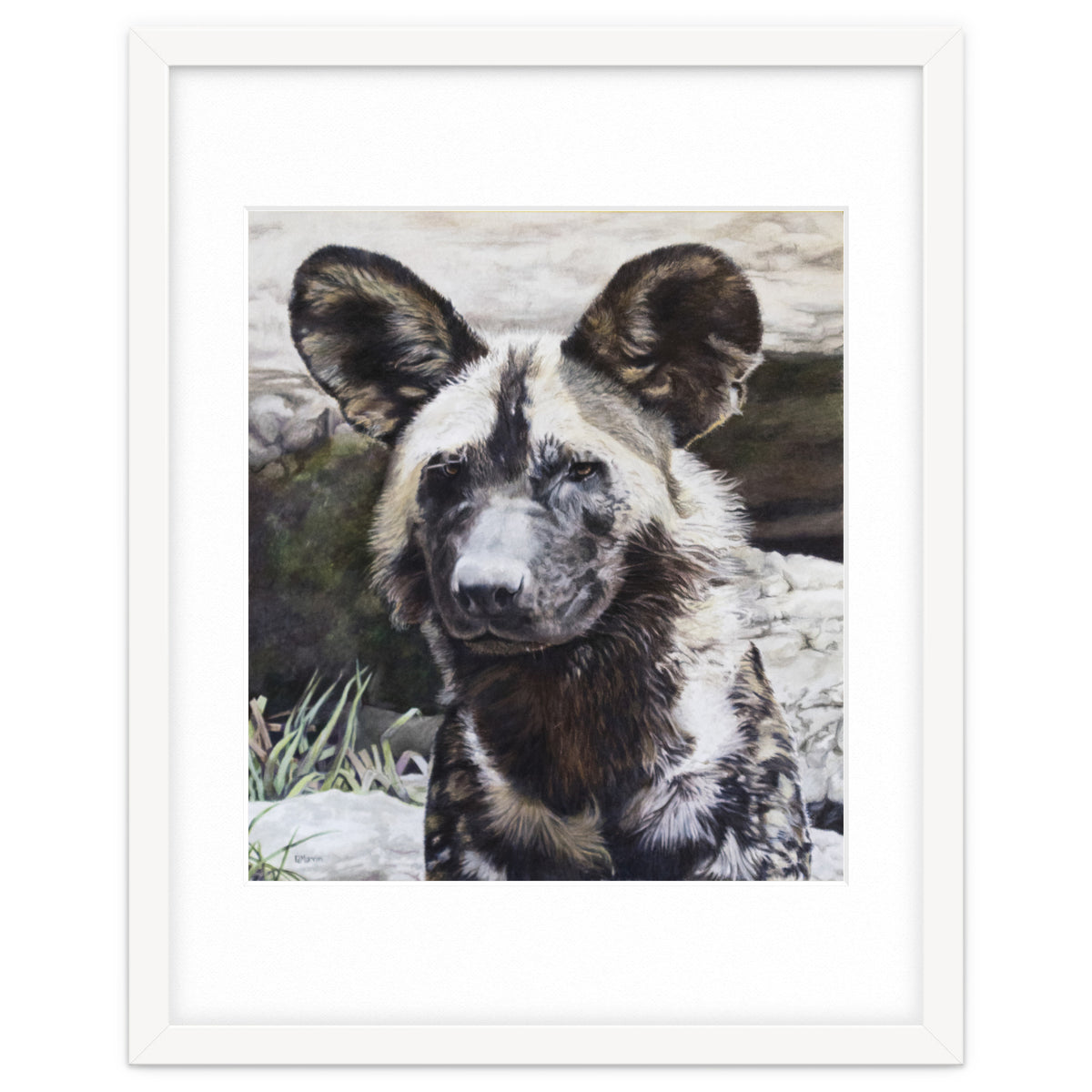 African Painted Dog II