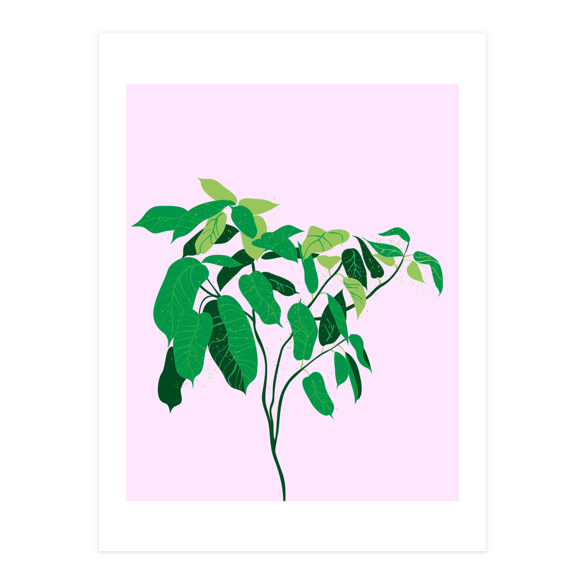 Ficus on Pink Background (Print Only)