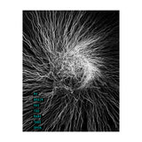 Mad Mind 1 (Print Only) thumbnail