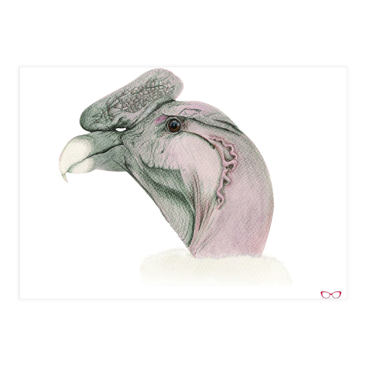 Andean condor (Print Only)