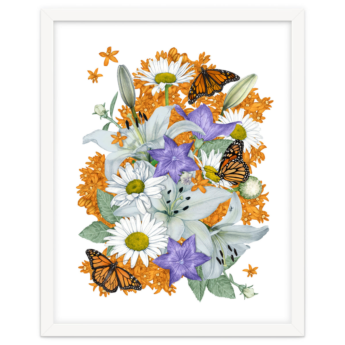 Lillies and Monarchs