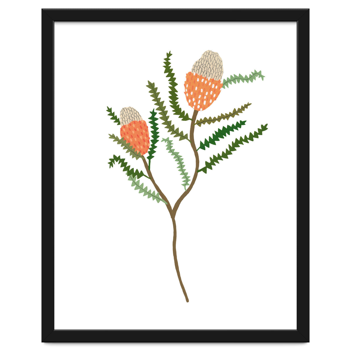 Banksia Flowers