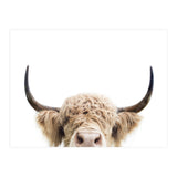 Peeking Cow (Print Only) thumbnail