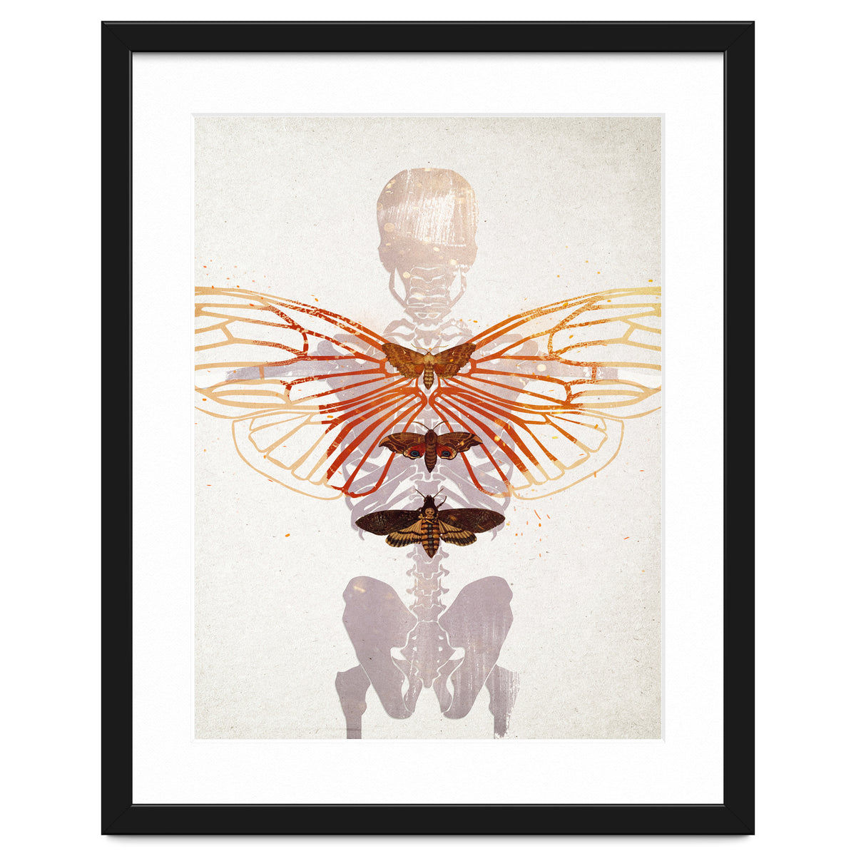 Ikarus - Like a Moth to the Flame